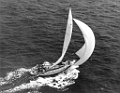 arial shot